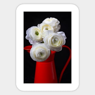 White Ranunculus In Orange Pitcher Sticker